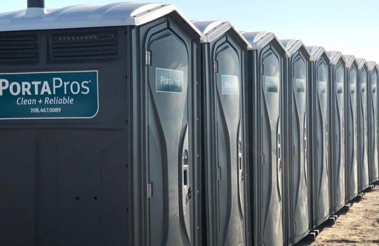 Row of toilets in the morning light